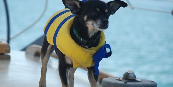 The sailing life on Martha’s Vineyard