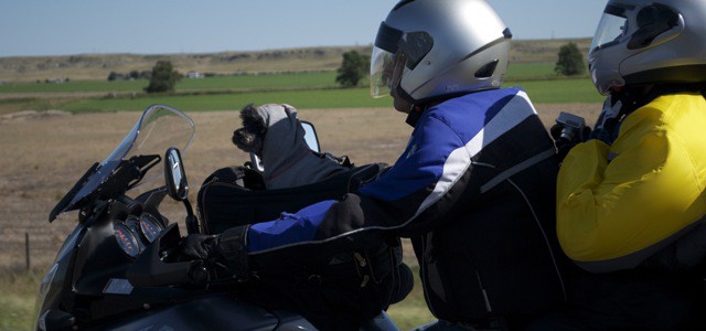 Easy Rider, four-legged style