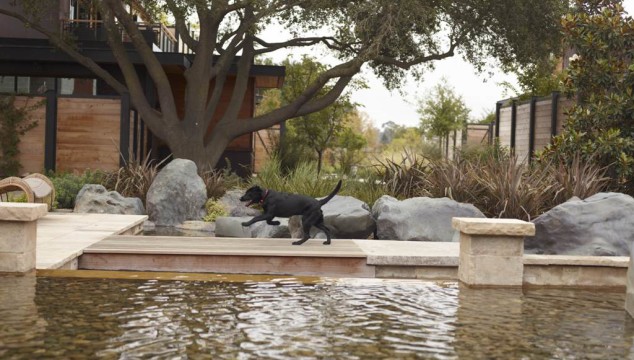 Bardessono Hotel in Yountville Unleashes New Dog Package