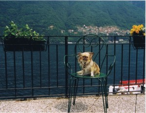 lucy-lakecomo