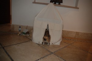 lucy-las-ventanas-cabana