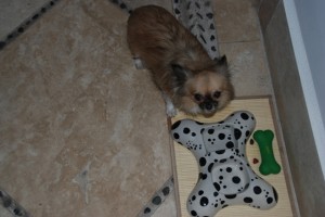 lucy-las-ventanas-dishes