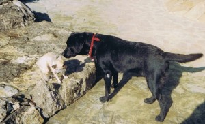 lucy-ligalli-2