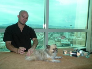 lucy-massage-trump-1