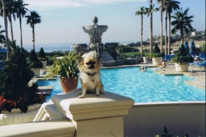 lucy-stregis