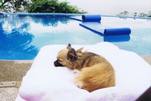 lucy-villamia-towel