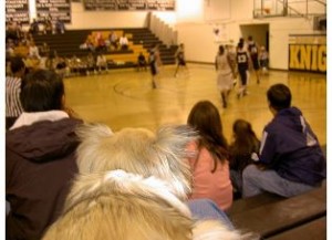 lucy_basketball
