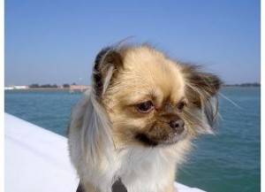 lucy_boat_small